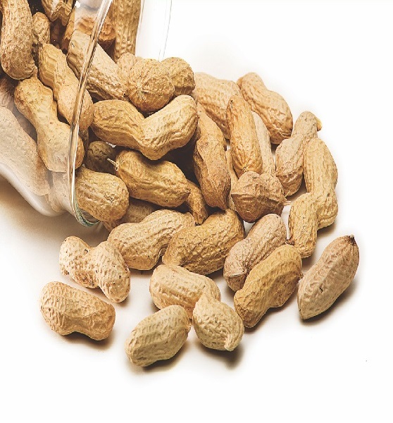 PEANUTS AND GROUND NUTS